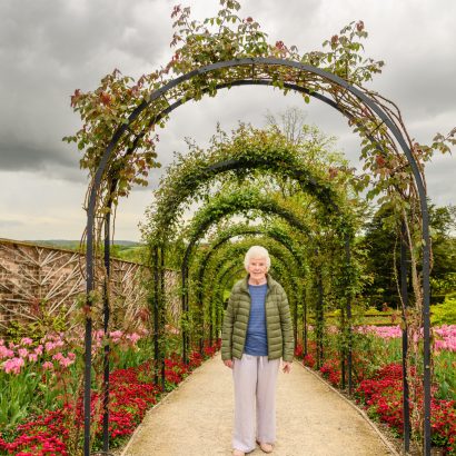 a-senior-lady-standing-under-rose-arches-2024-12-03-08-16-30-utc a-senior-lady-standing-under-rose-arches-2024-12-03-08-16-30-utc