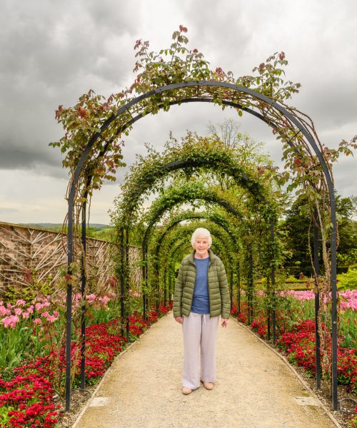 a-senior-lady-standing-under-rose-arches-2024-12-03-08-16-30-utc a-senior-lady-standing-under-rose-arches-2024-12-03-08-16-30-utc