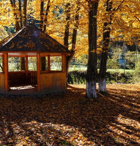 open-air-gazebo-in-autumn-carpathian-mountain-yell-2025-10-12-22-37-35-utc open-air-gazebo-in-autumn-carpathian-mountain-yell-2025-10-12-22-37-35-utc