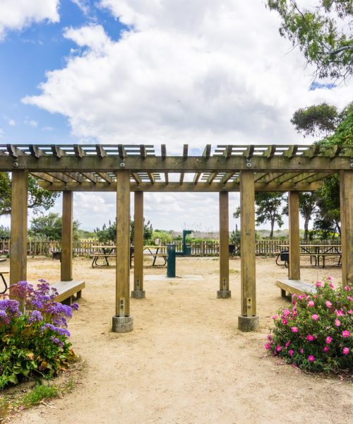 Picnic area with tables, grills and water in Palo Alto Baylands Picnic area with tables, grills and water in Palo Alto Baylands Park, south San Francisco bay, California