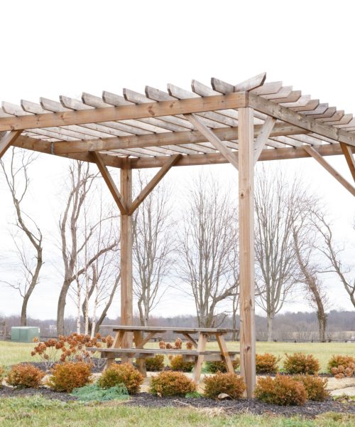 Tranquil green lawn with a wooden pergola A tranquil green lawn with a wooden pergola